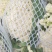 河南焦作松花菜基地直供大量有货可长期供应到6月走批发