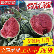 精选《大棚麒麟瓜》甘肃平凉基地直供/包熟包甜/全国代发