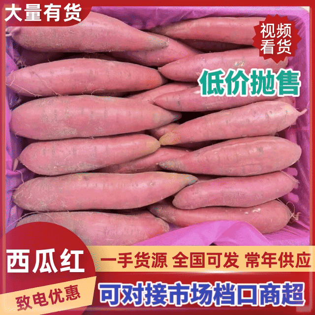 【平台精选】西瓜红规格齐全产地直供对接电商云仓量大