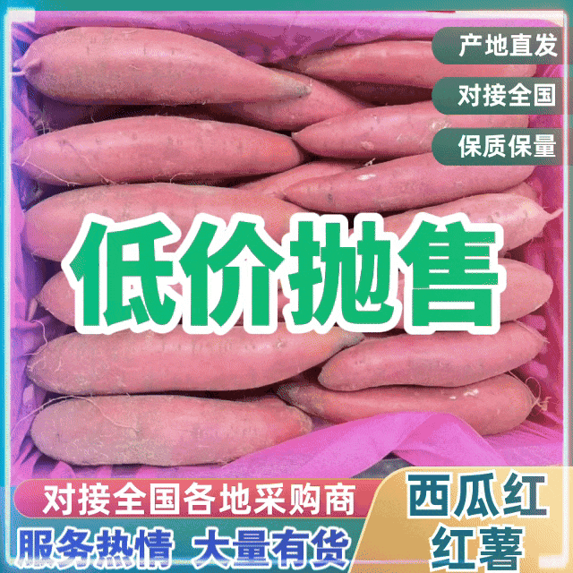 【平台精选】西瓜红规格齐全产地直供对接电商云仓量大