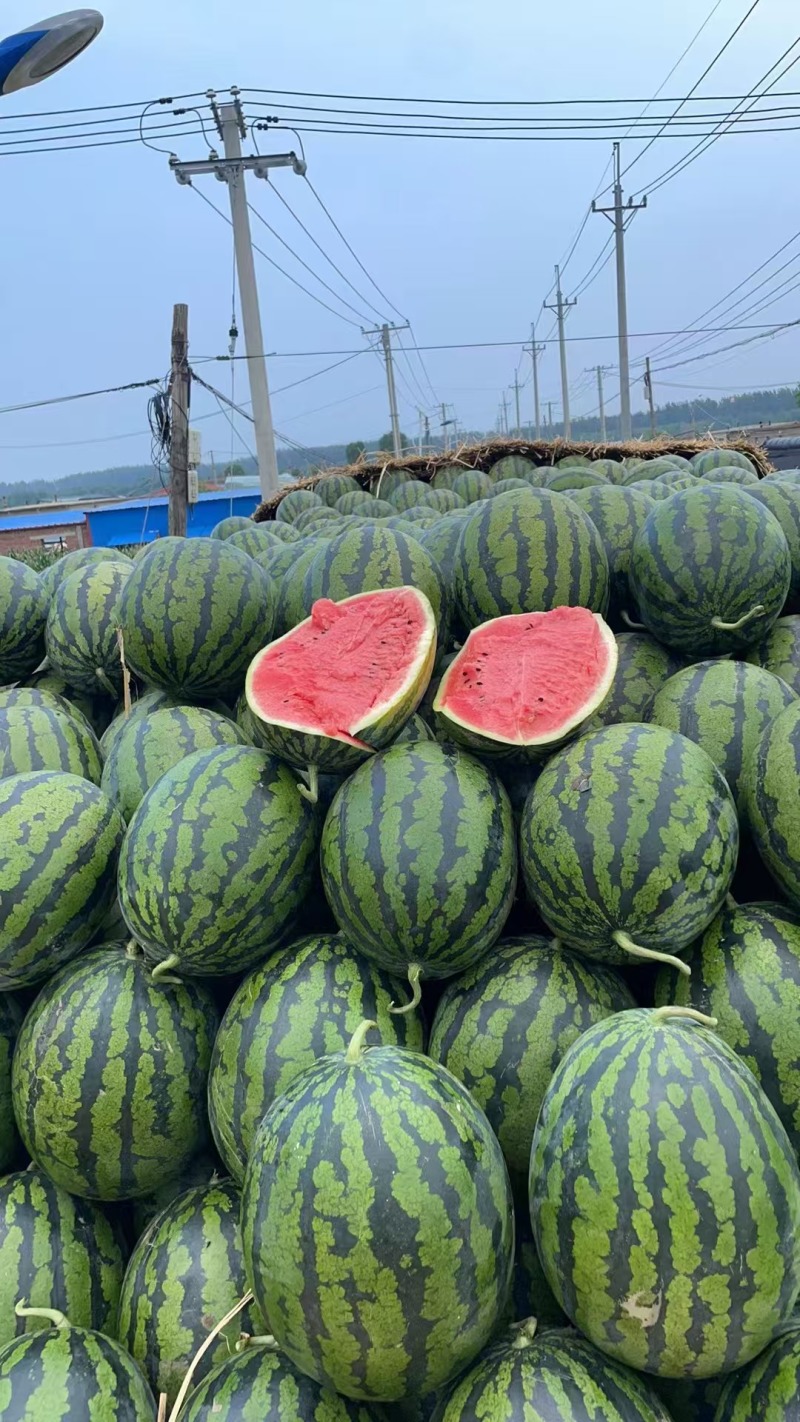 辽宁淩海甜王西瓜，陆地瓜，大量新鲜现货速发，欢迎选购
