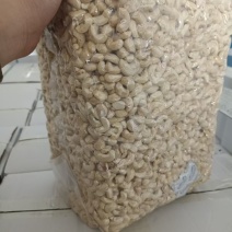 厂家直供【450腰果生料】