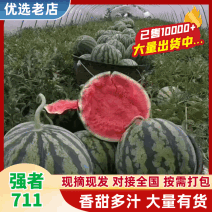 强者711头茬西瓜，产地直供，全国代发，量大质优，价格便宜
