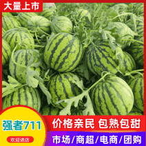 强者711西瓜头茬瓜，产地直供，全国代发，量大质优，价格便宜