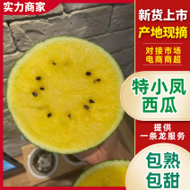 【冰淇淋西瓜】特小凤西瓜江苏西瓜皮薄多汁对接全国