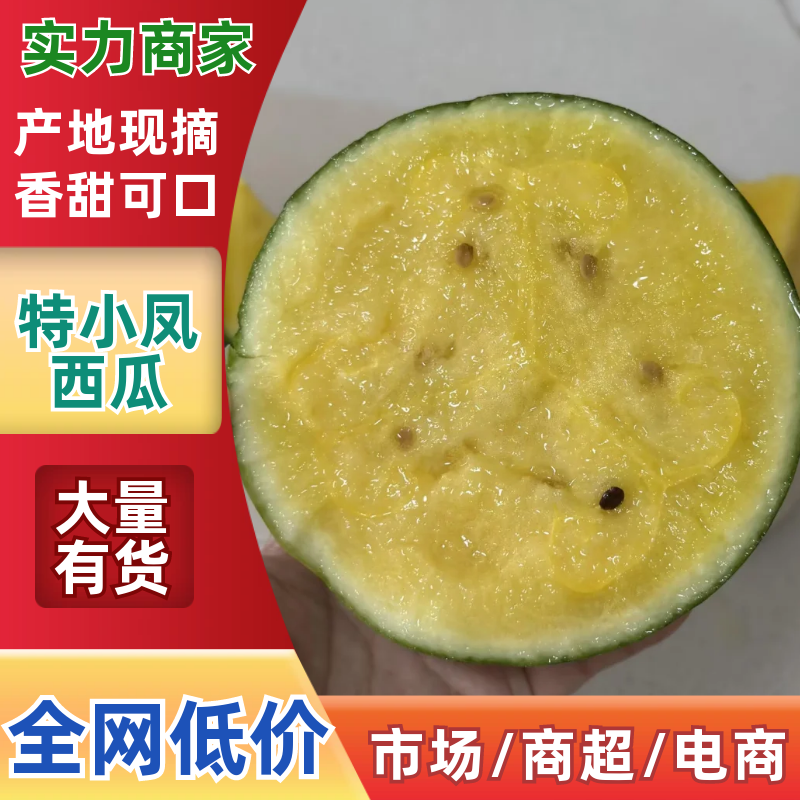 【推荐】特小凤西瓜货源充足甘甜爽口可实地考察