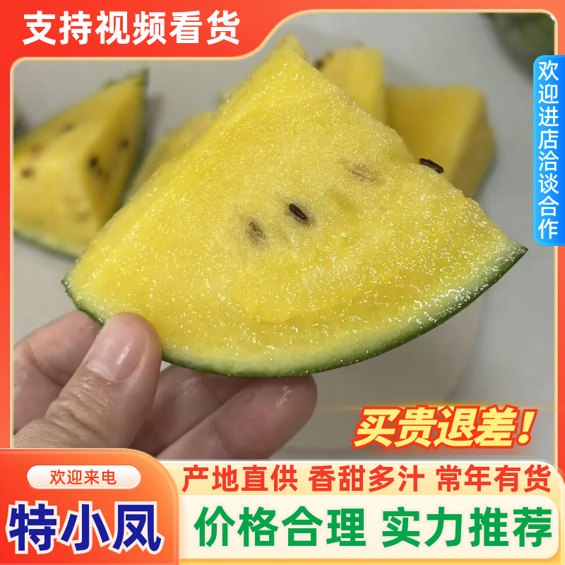 【热卖】特小凤西瓜大量上市中对接电商平台商超市场