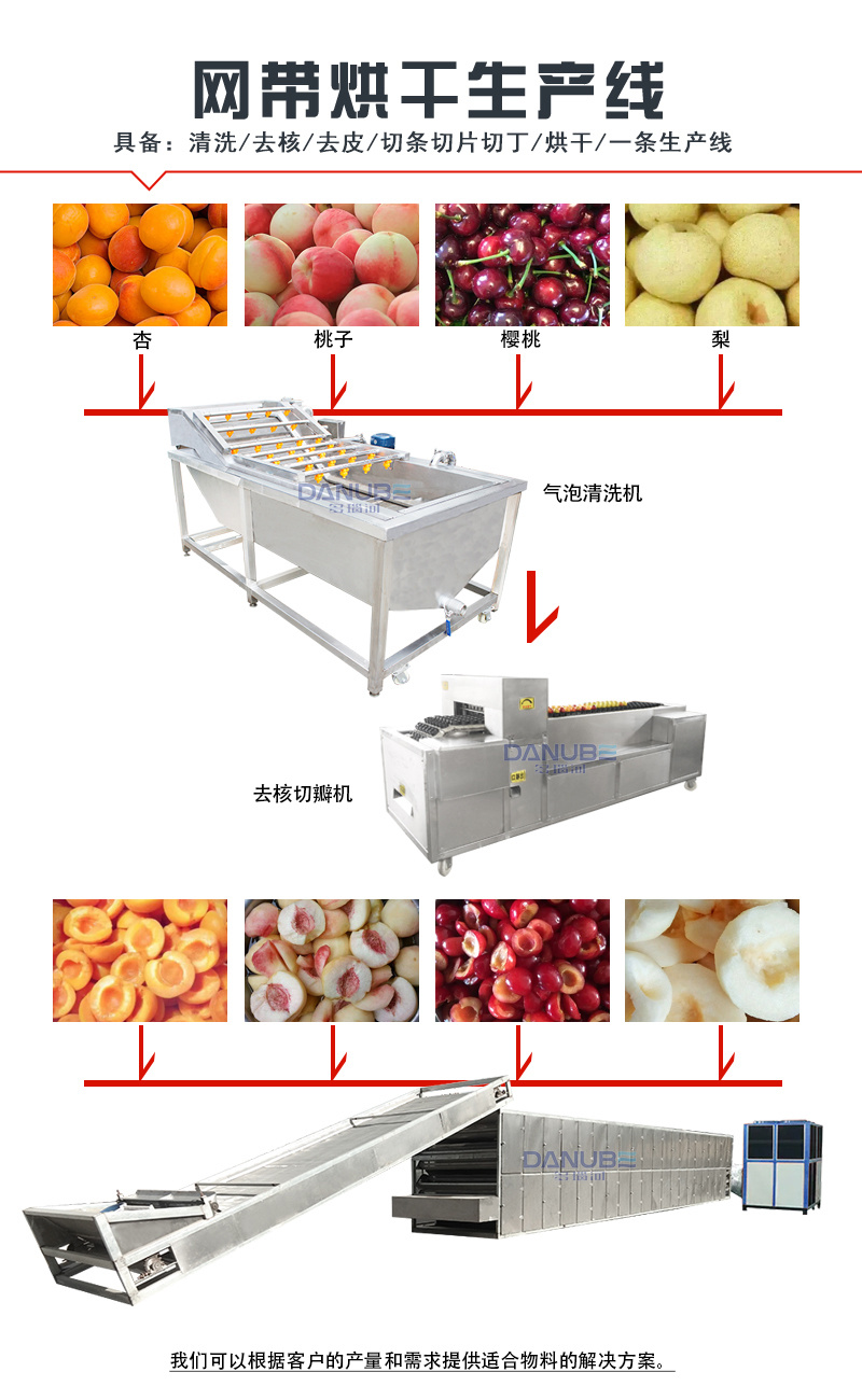 网带水果烘干机西梅青梅烘干设备蓝莓山楂杏干李子烘干流水线