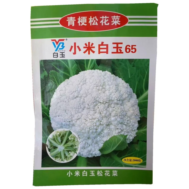 小米白玉657580天青梗松花菜种子细米粒花椰菜种籽