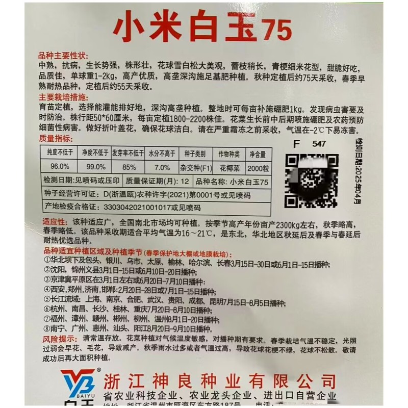 小米白玉657580天青梗松花菜种子细米粒花椰菜种籽