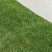 优质马尼拉草坪种植基地现货现发品质好价格低