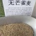 无芒雀麦种子