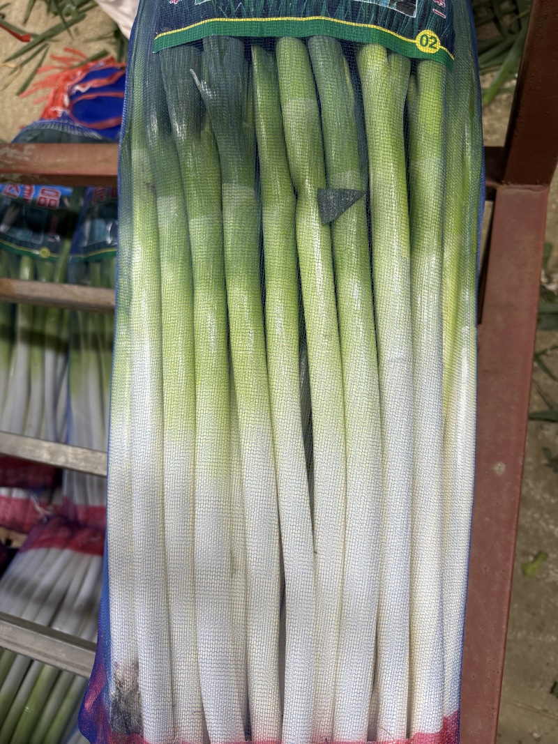 山东长白大葱承接批发加工电商商超餐饮社区团购按需求分拣打包