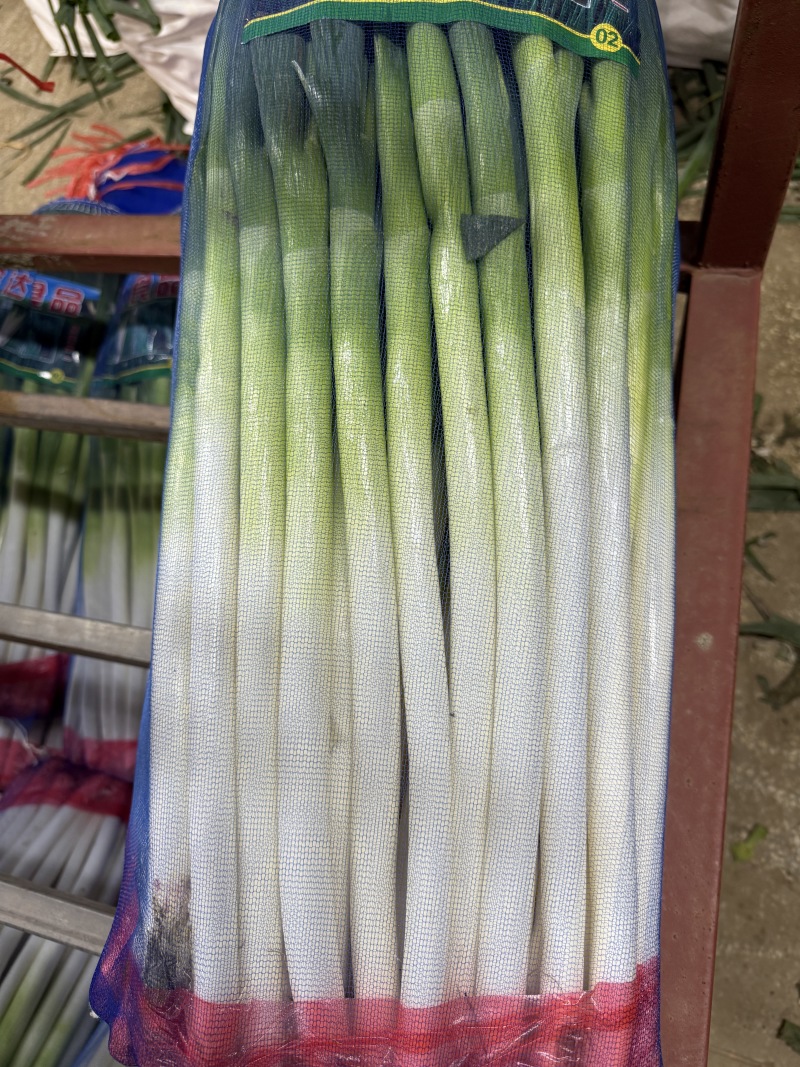 潍坊长白大葱葱白长条形好毛葱净葱都有扒皮剪叶打捆