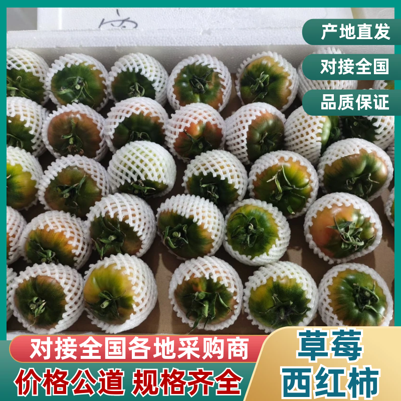 西红柿草莓西红柿寿光精品草莓西红柿口感西红柿