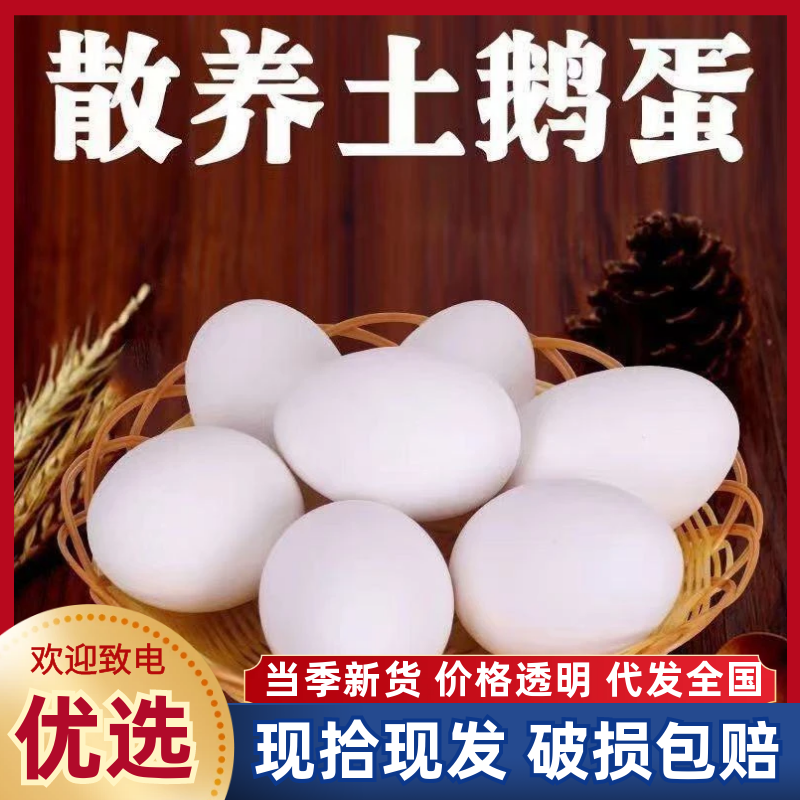 【破损包赔】农家散养土鹅蛋新鲜现捡土鹅蛋批发整箱土鹅蛋