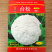 台松青梗松花菜种子50天花菜种子松花菜花椰菜白花菜种耐热