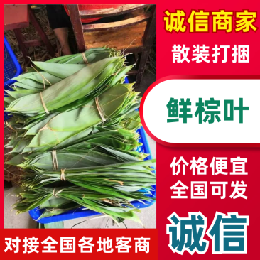 粽叶散装打捆产地一手货源质量保证量大从优全国发货