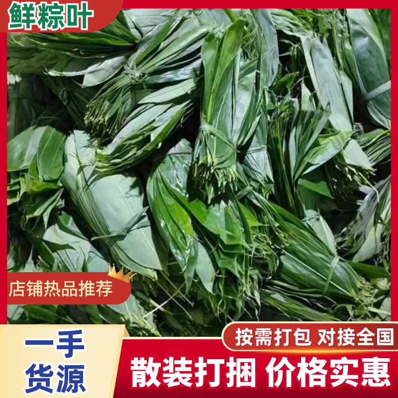 鲜粽叶，箬叶，干粽叶，整车发货