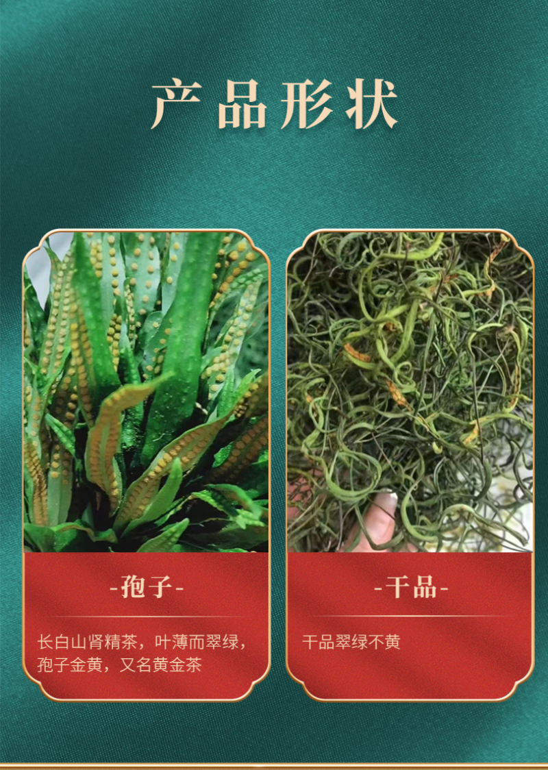 长白山本地肾精茶真肾精茶