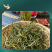 长白山本地肾精茶真肾精茶