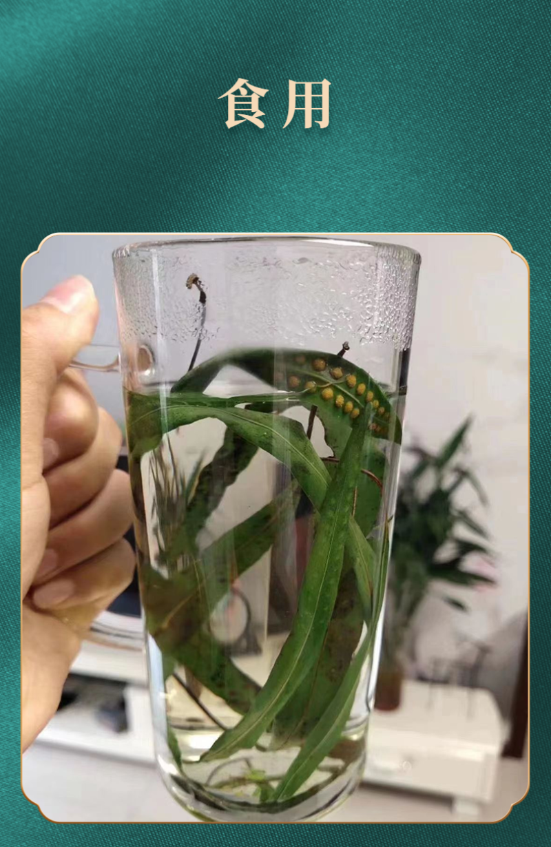 长白山本地肾精茶真肾精茶