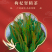 长白山本地肾精茶真肾精茶