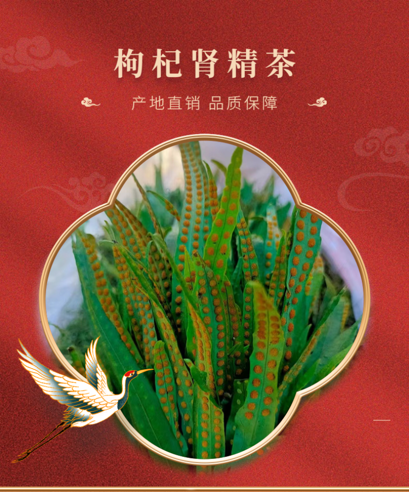 长白山本地肾精茶真肾精茶