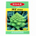 绿宝塔菜种子中晚熟耐寒抗病花椰菜螺丝菜种大田基地型
