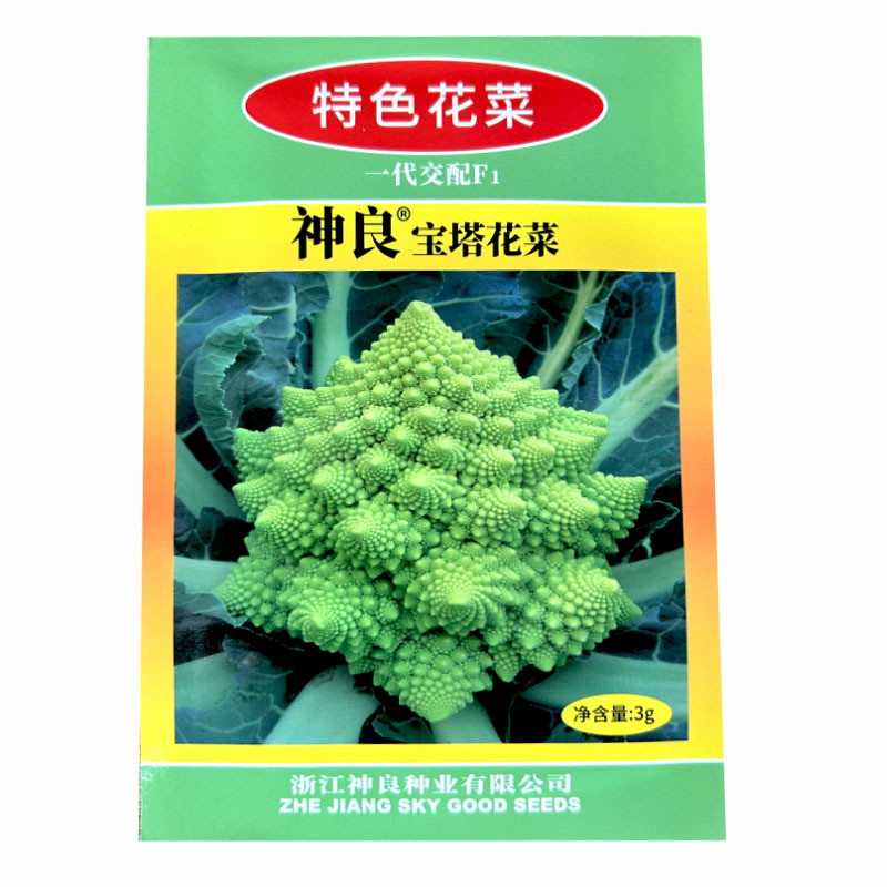 绿宝塔菜种子中晚熟耐寒抗病花椰菜螺丝菜种大田基地型
