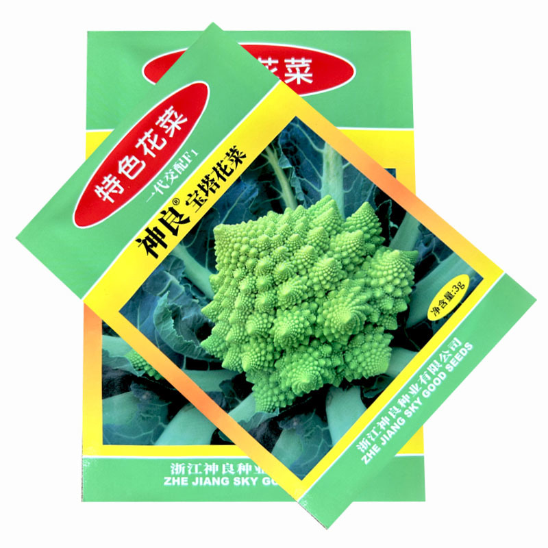 绿宝塔菜种子中晚熟耐寒抗病花椰菜螺丝菜种大田基地型