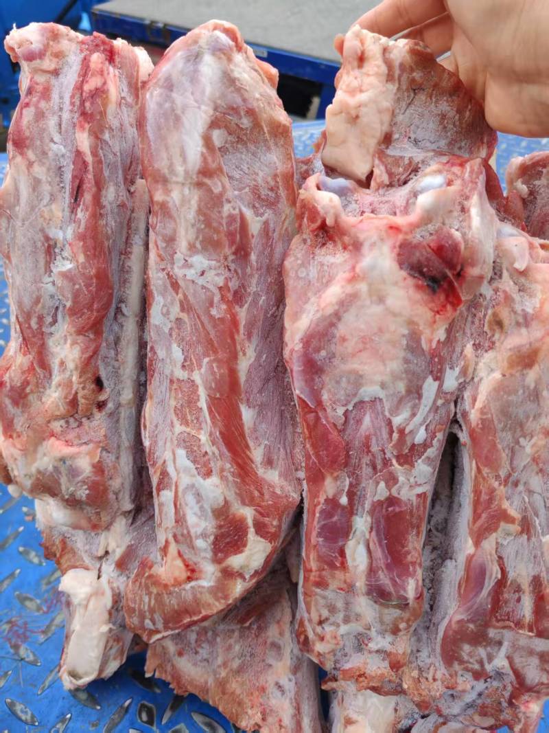 羔羊满肉羊蝎子，加肉不加价可加工切段，蝎子火锅店必备