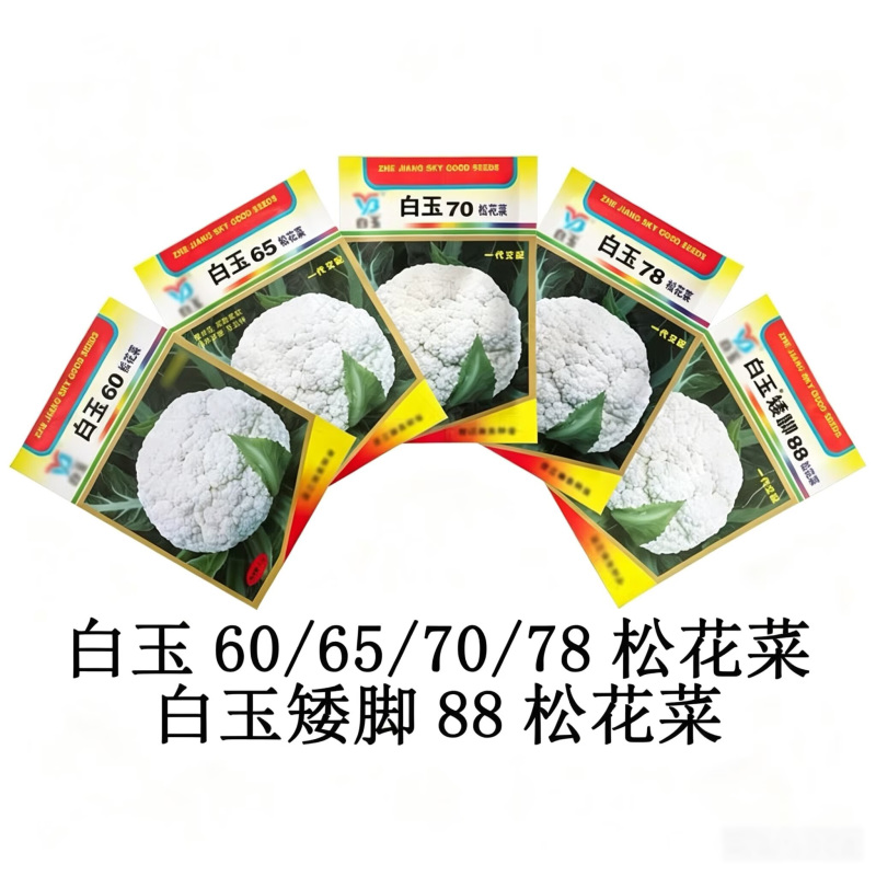 白玉65天70天78天青梗松花菜种子秋季耐热花椰菜种籽