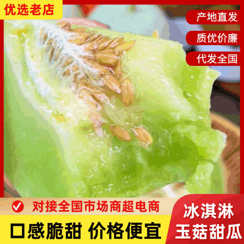 【玉菇甜瓜】山东玉菇甜瓜/莘县玉菇甜瓜/质量三包