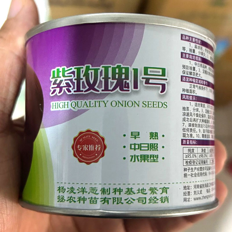 紫玫瑰1号洋葱种子极早熟扁平扁圆紫红分球少生吃水果洋葱种