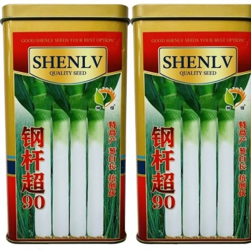 钢杆超90大葱种子葱白30-100cm耐热耐寒耐倒伏抗病