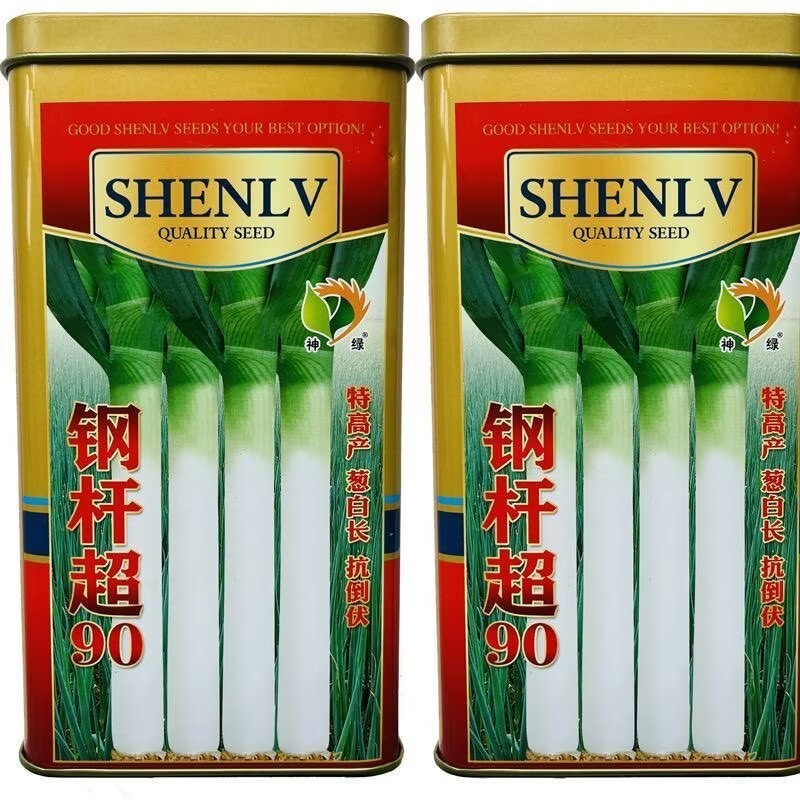钢杆超90大葱种子葱白30-100cm耐热耐寒耐倒伏抗病