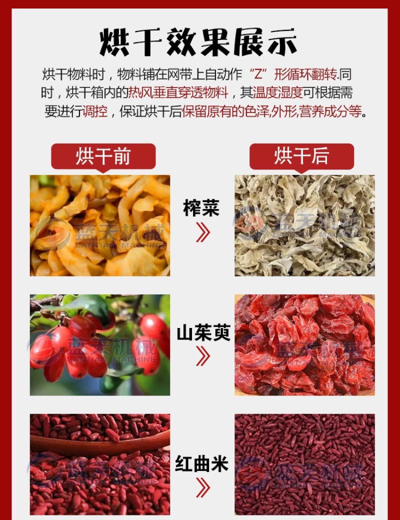 山茱萸烘干机茱萸肉烘烤机山茱萸清洗筛选去核烘干装袋生产线