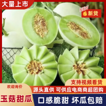 【精品】玉菇甜瓜冰淇淋玉菇奶香蜜产地直发欢迎洽谈！