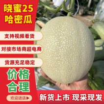 【精品】精品晓蜜25号哈密瓜产地直发价格美丽欢迎洽谈