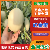 【精品】红金蜜红肉脆梨东方蜜1号代发全国保质保量靠谱