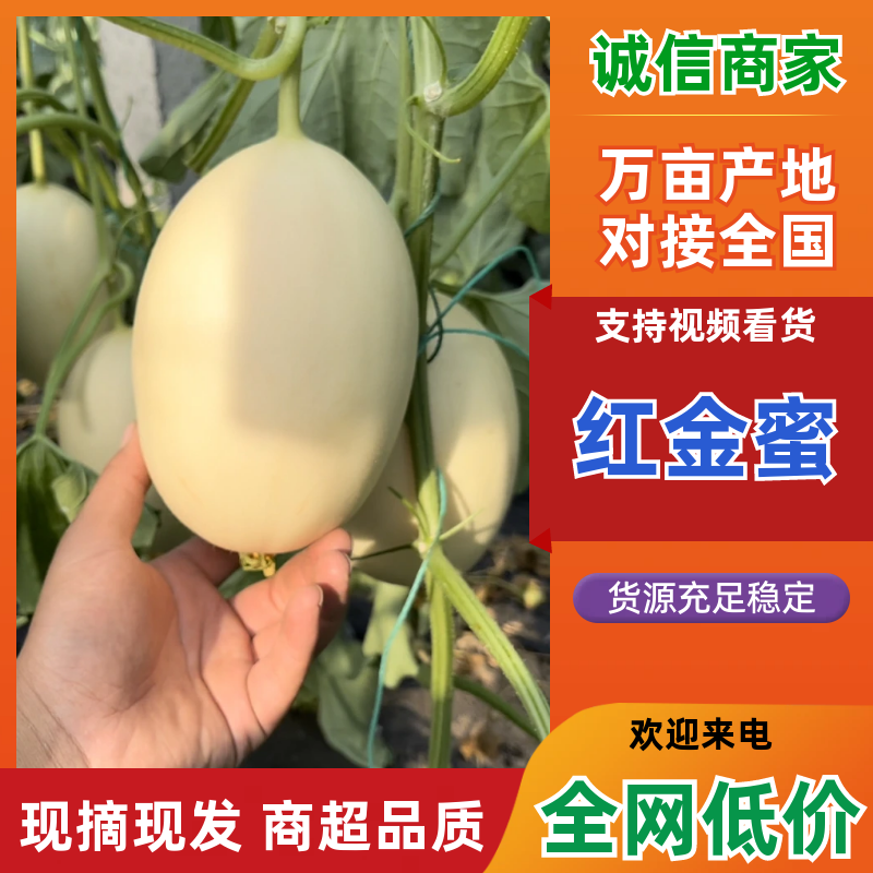 【精品】红金蜜红肉脆梨东方蜜1号代发全国保质保量靠谱