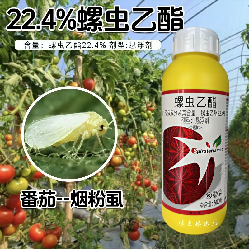 螺虫乙酯杀虫剂桃树介壳虫番茄烟粉虱月季介壳虫豇豆蓟马农用