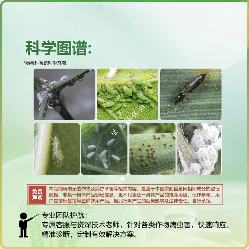 螺虫乙酯杀虫剂桃树介壳虫番茄烟粉虱月季介壳虫豇豆蓟马农用