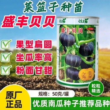 盛丰贝贝南瓜种子早熟扁圆形迷你贝贝南瓜甘甜面春秋基地种植
