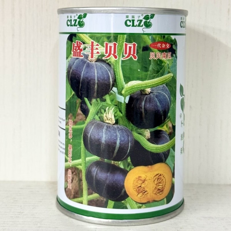 盛丰贝贝南瓜种子早熟扁圆形迷你贝贝南瓜甘甜面春秋基地种植