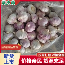 【精品】河南大蒜中牟大蒜紫皮大蒜产地直供保质保量!