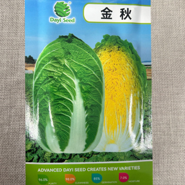 金秋黄心大白菜种子中熟秋季抗病黄芯韩国耐抽苔黄心白菜种籽