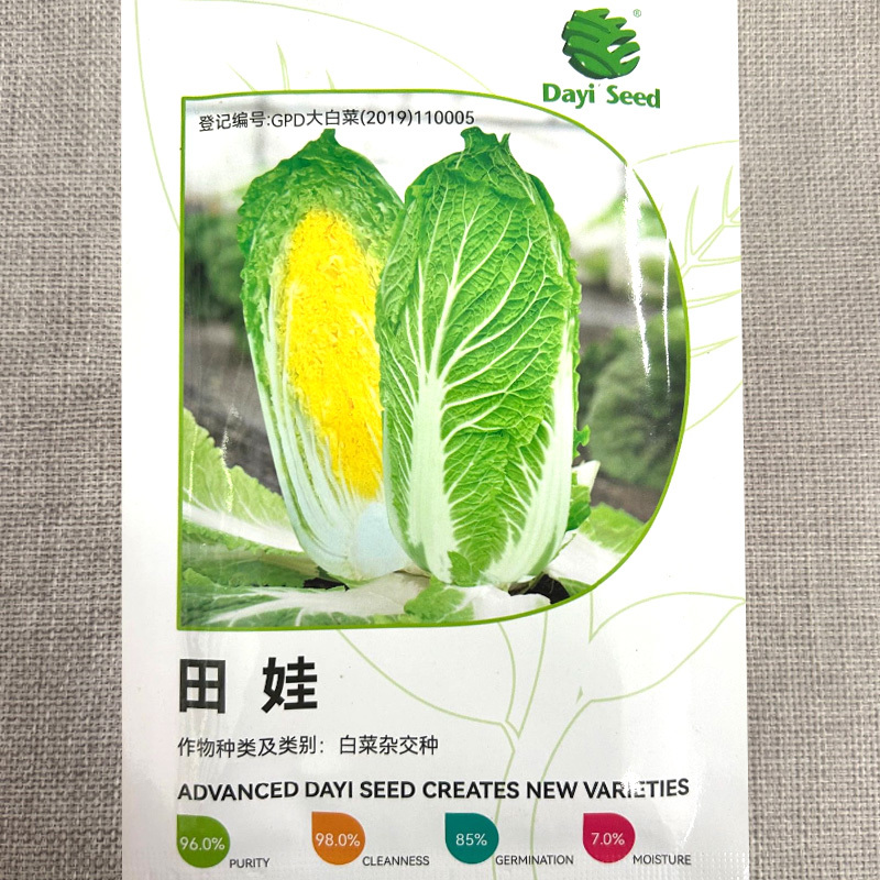 田娃早熟黄心娃娃菜种子耐寒耐抽苔结球黄芯小白菜种籽基地用
