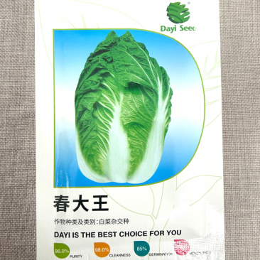 春大王白菜种子早熟春秋季大白菜种籽耐低温结球大白菜种籽